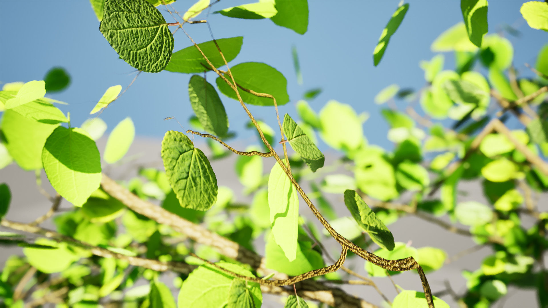 Lowpoly Katsura Tree Low-poly 3D model_10