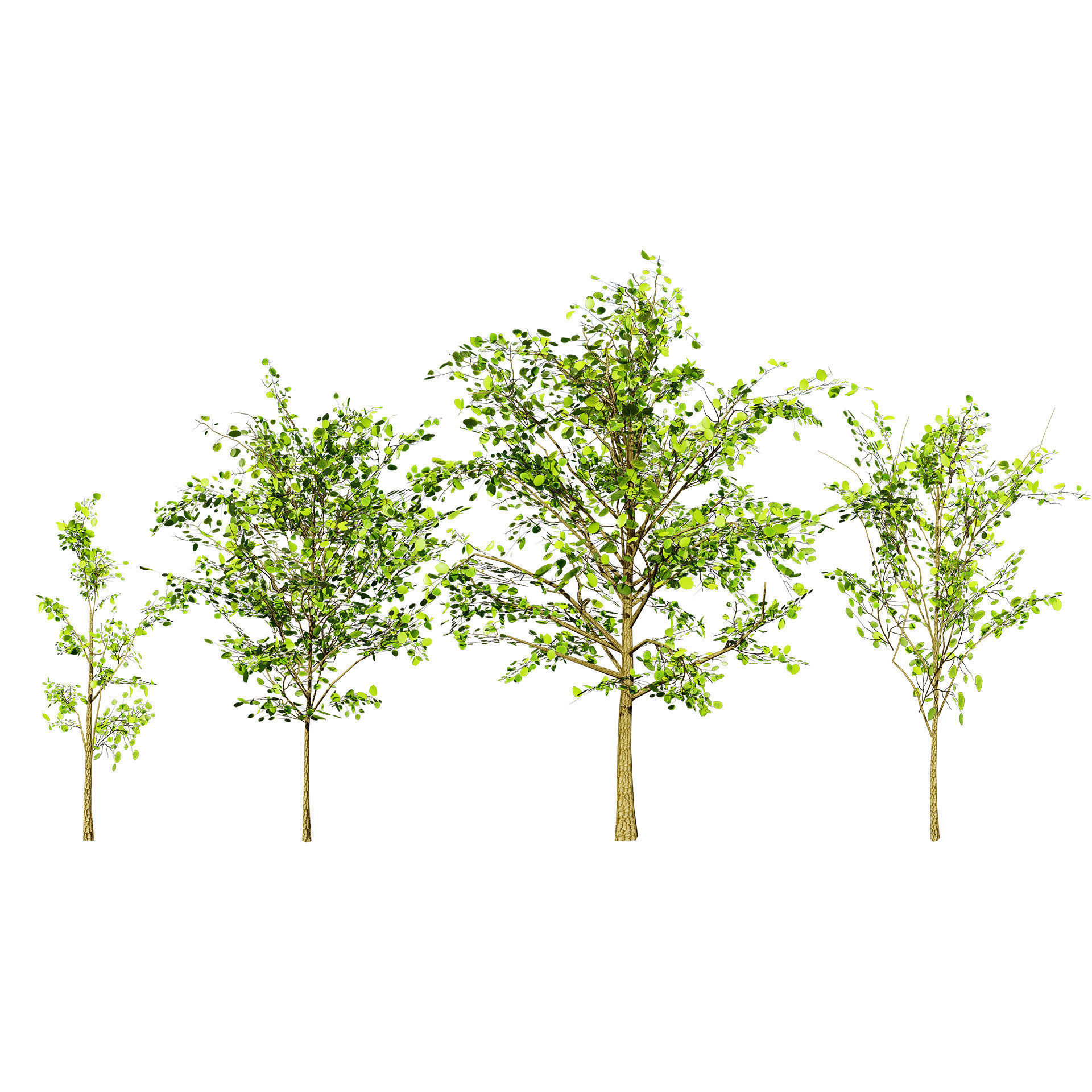 Lowpoly Katsura Tree Low-poly 3D model_2