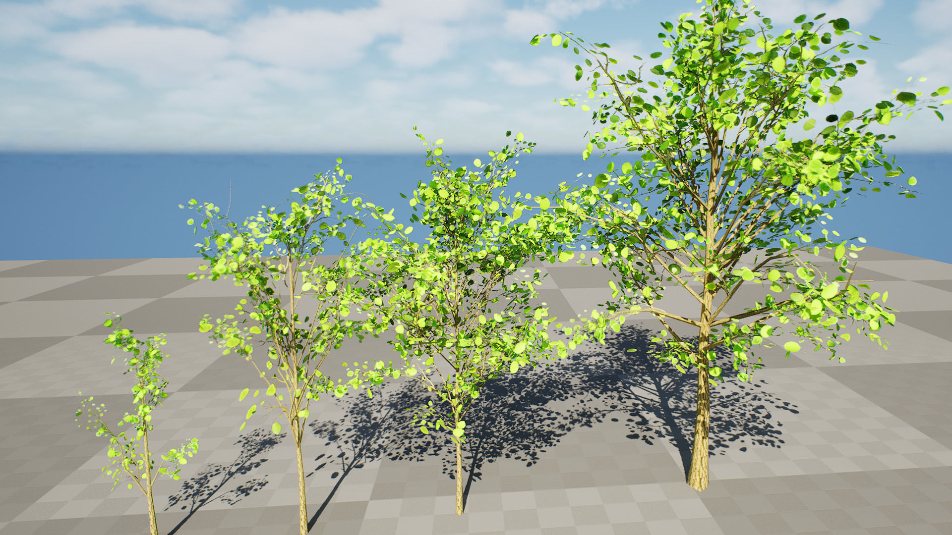 Lowpoly Katsura Tree Low-poly 3D model_9