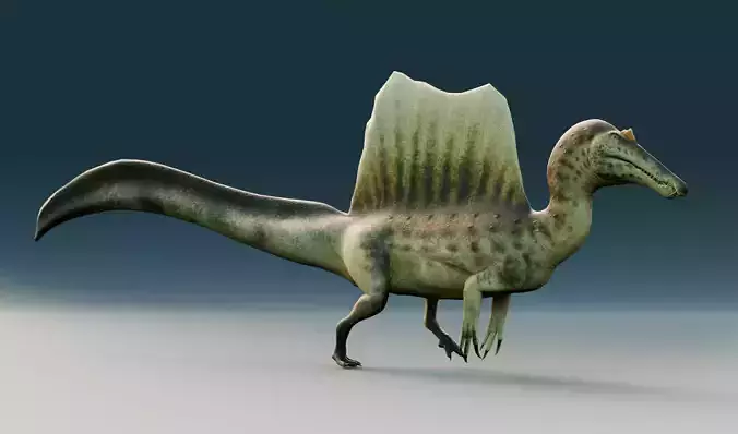 Spinosaurus Aegyptiacus-Low Poly-Rigged