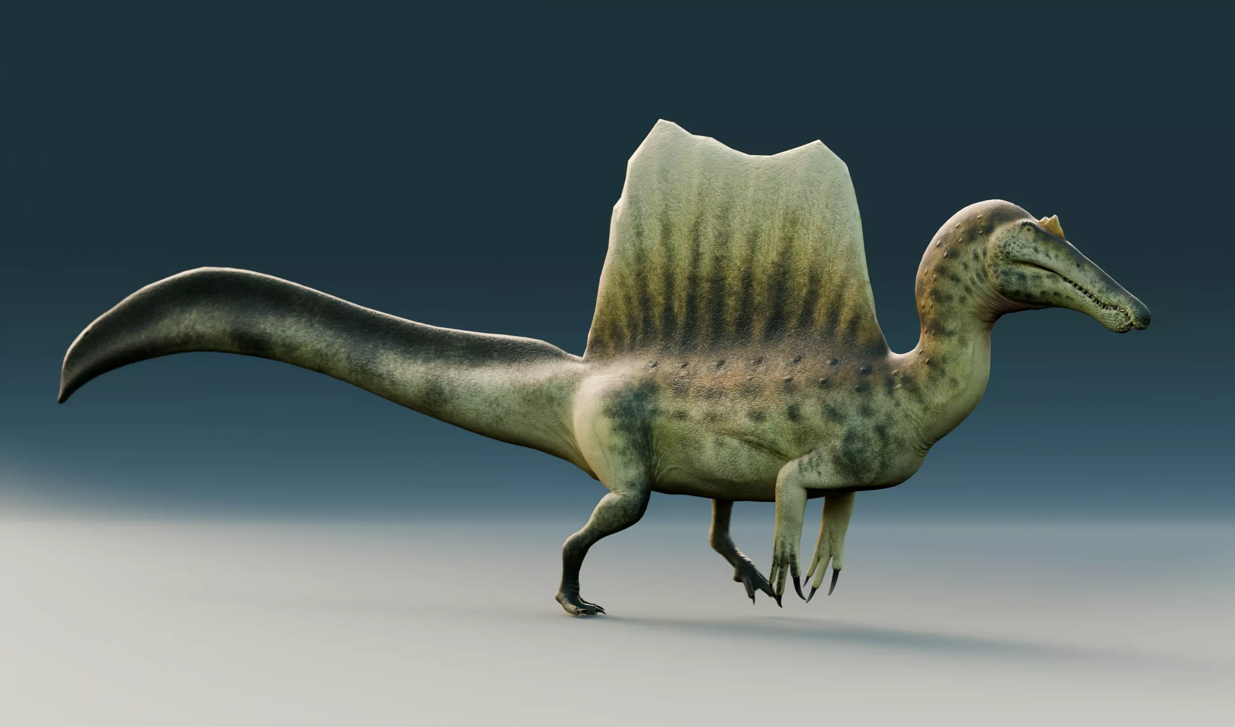 Spinosaurus Aegyptiacus-Low Poly-Rigged Low-poly 3D model