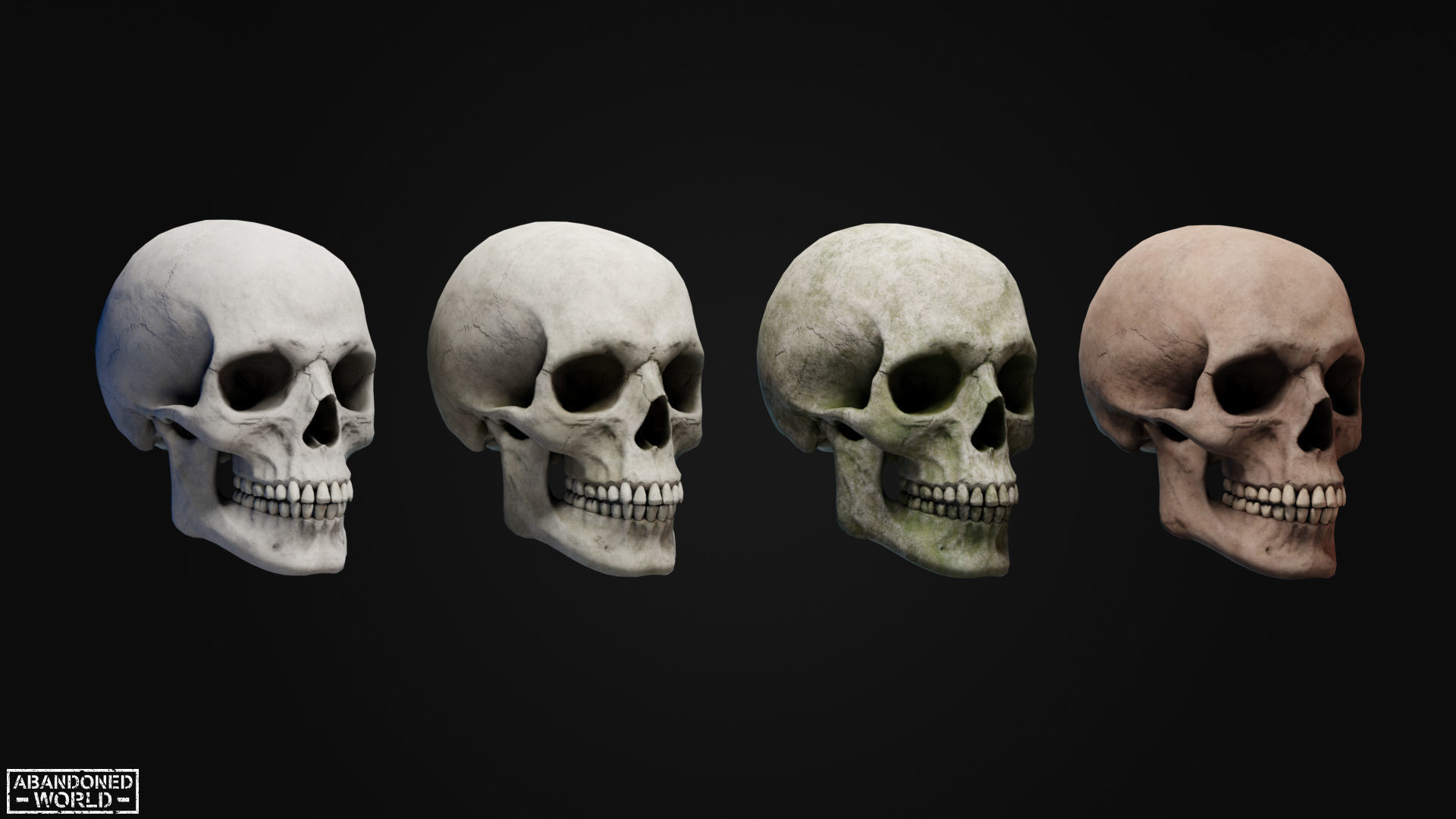 Human Skull Low-poly 3D model_5