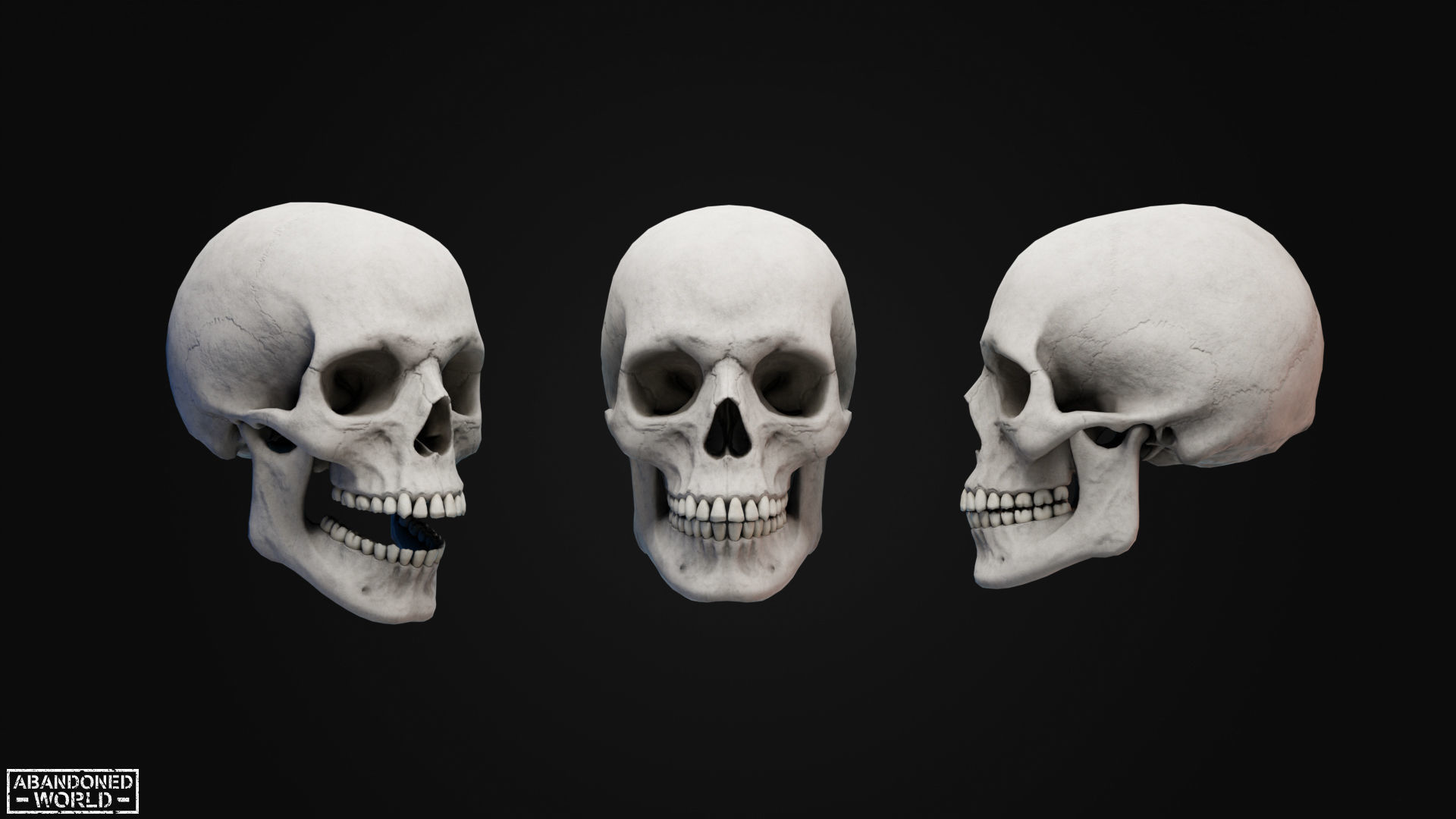 Human Skull Low-poly 3D model_1