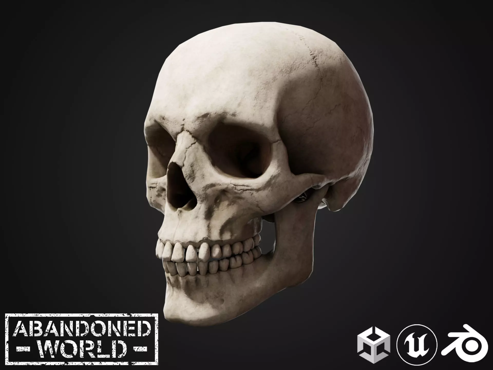 Human Skull Low-poly 3D model_0