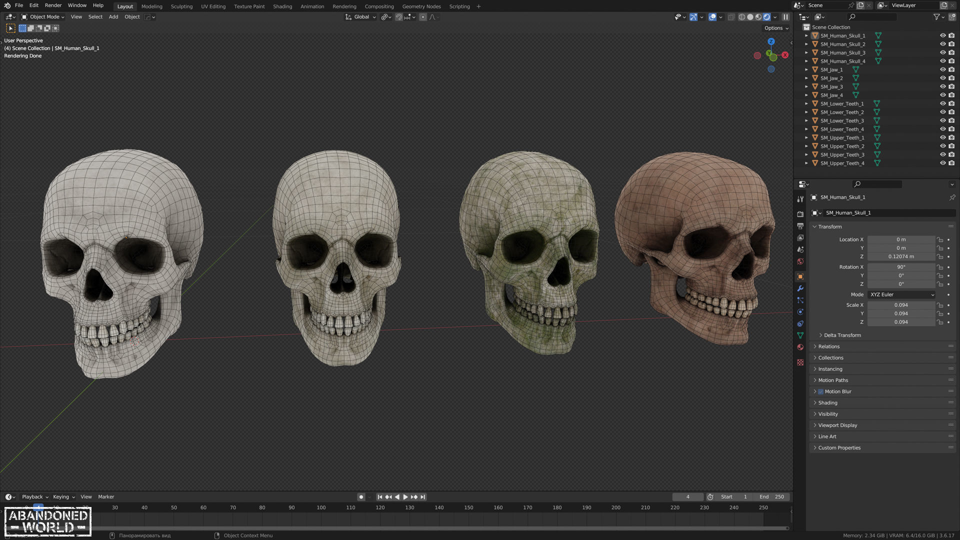 Human Skull Low-poly 3D model_12
