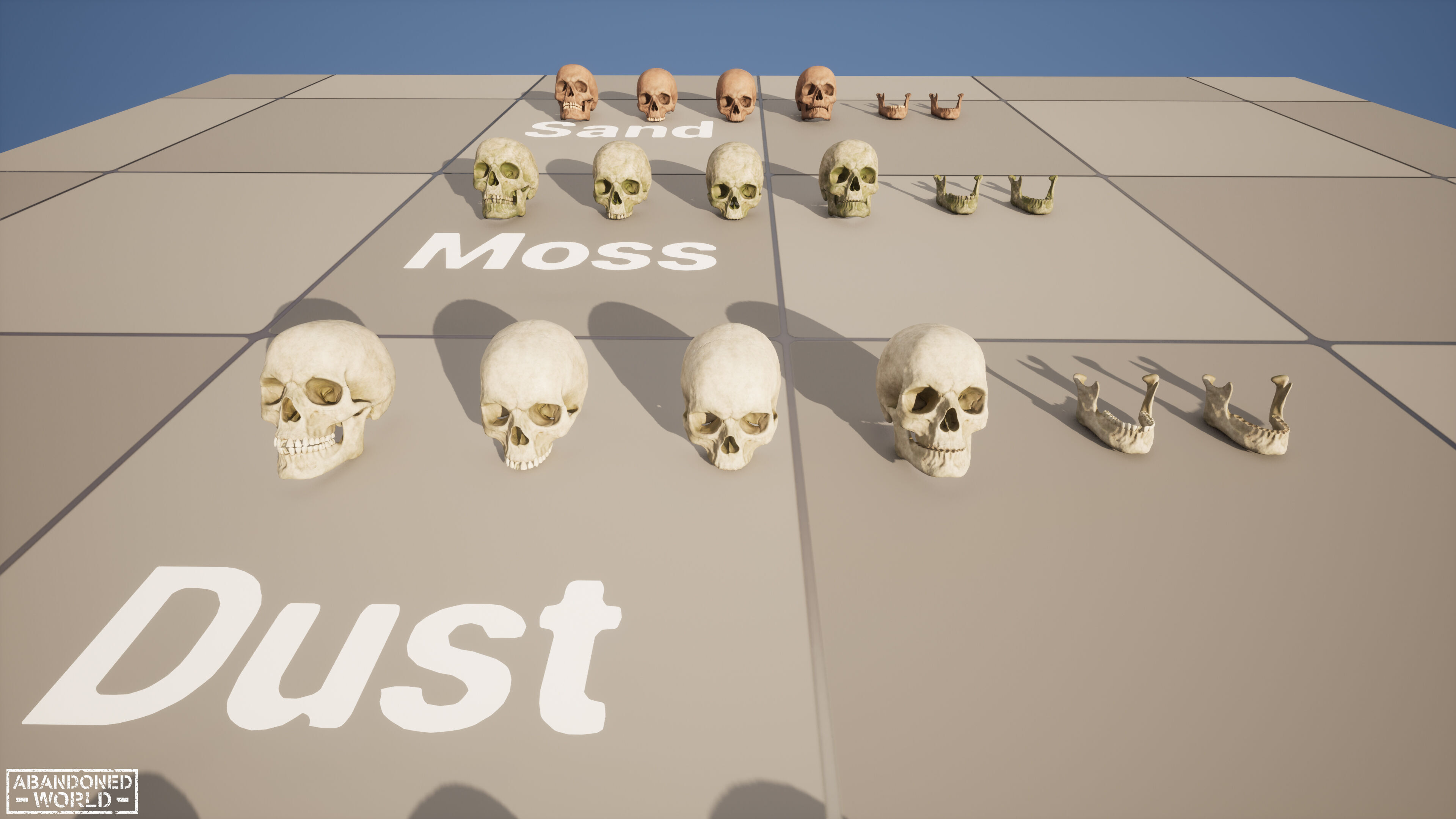 Human Skull Low-poly 3D model_18