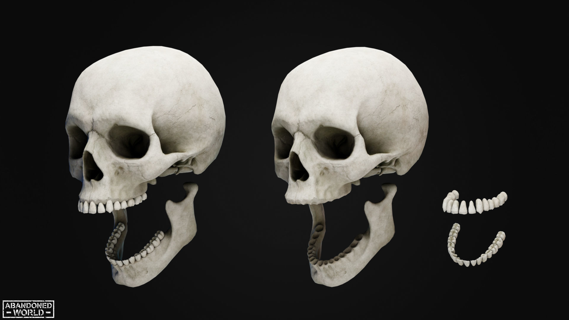 Human Skull Low-poly 3D model_7