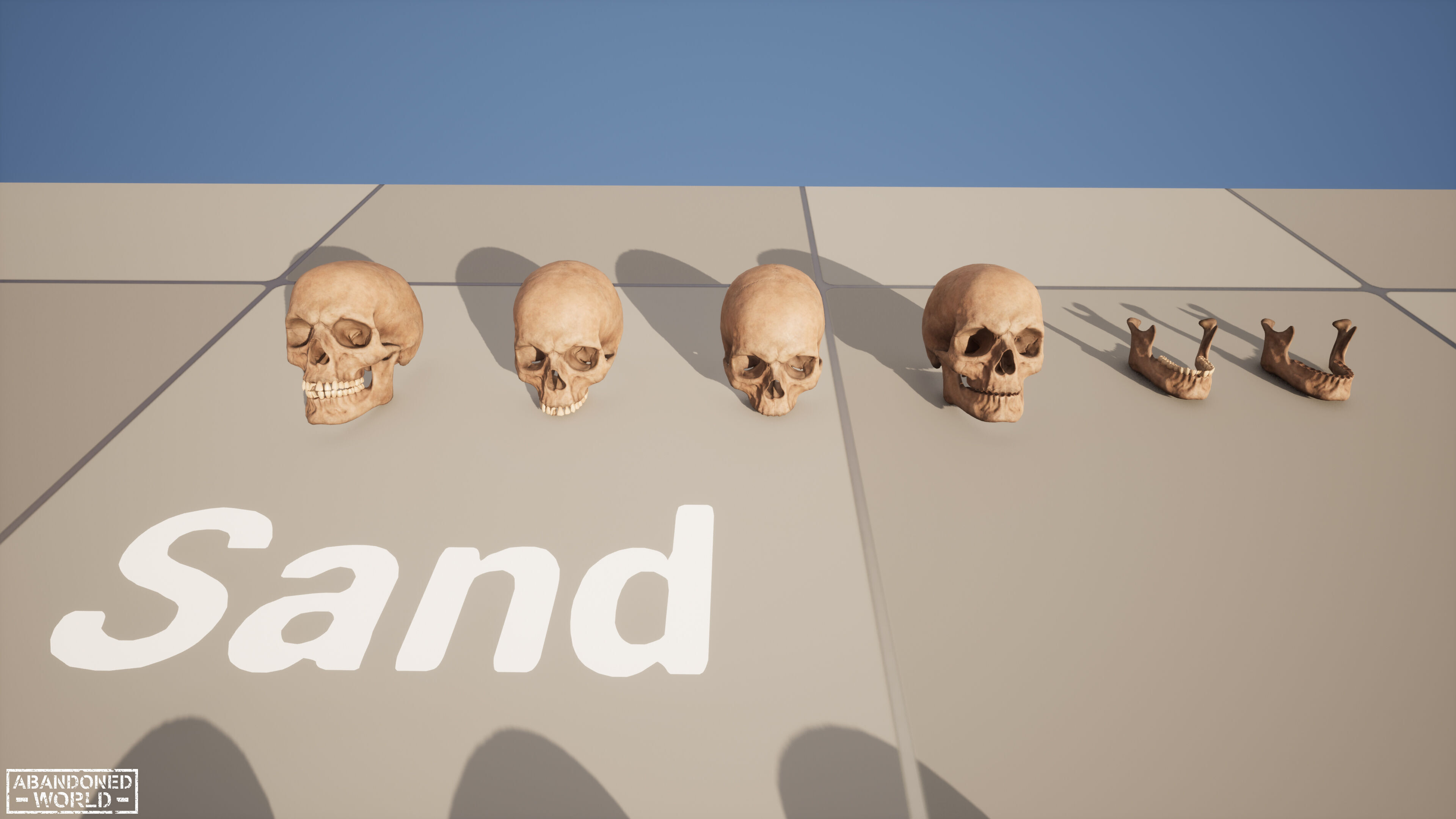 Human Skull Low-poly 3D model_20