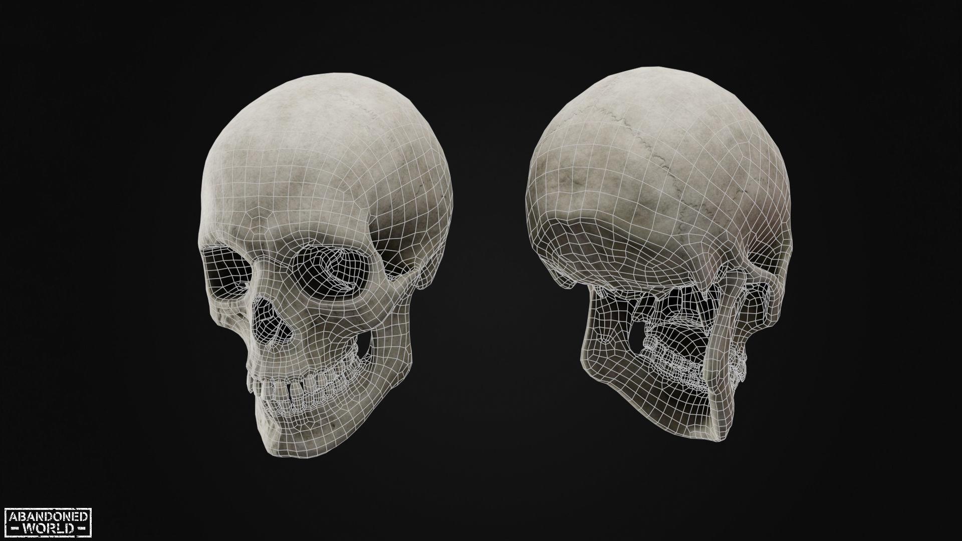 Human Skull Low-poly 3D model_9