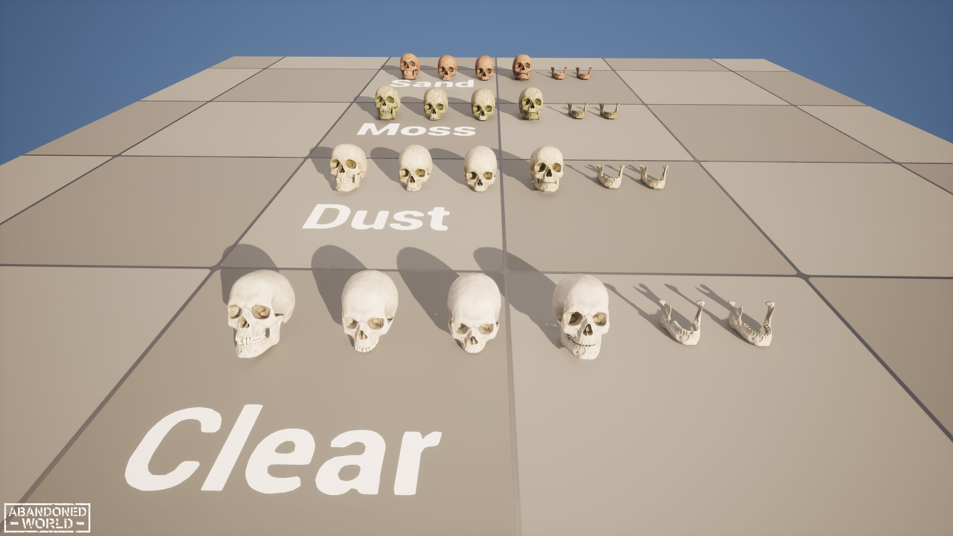 Human Skull Low-poly 3D model_17