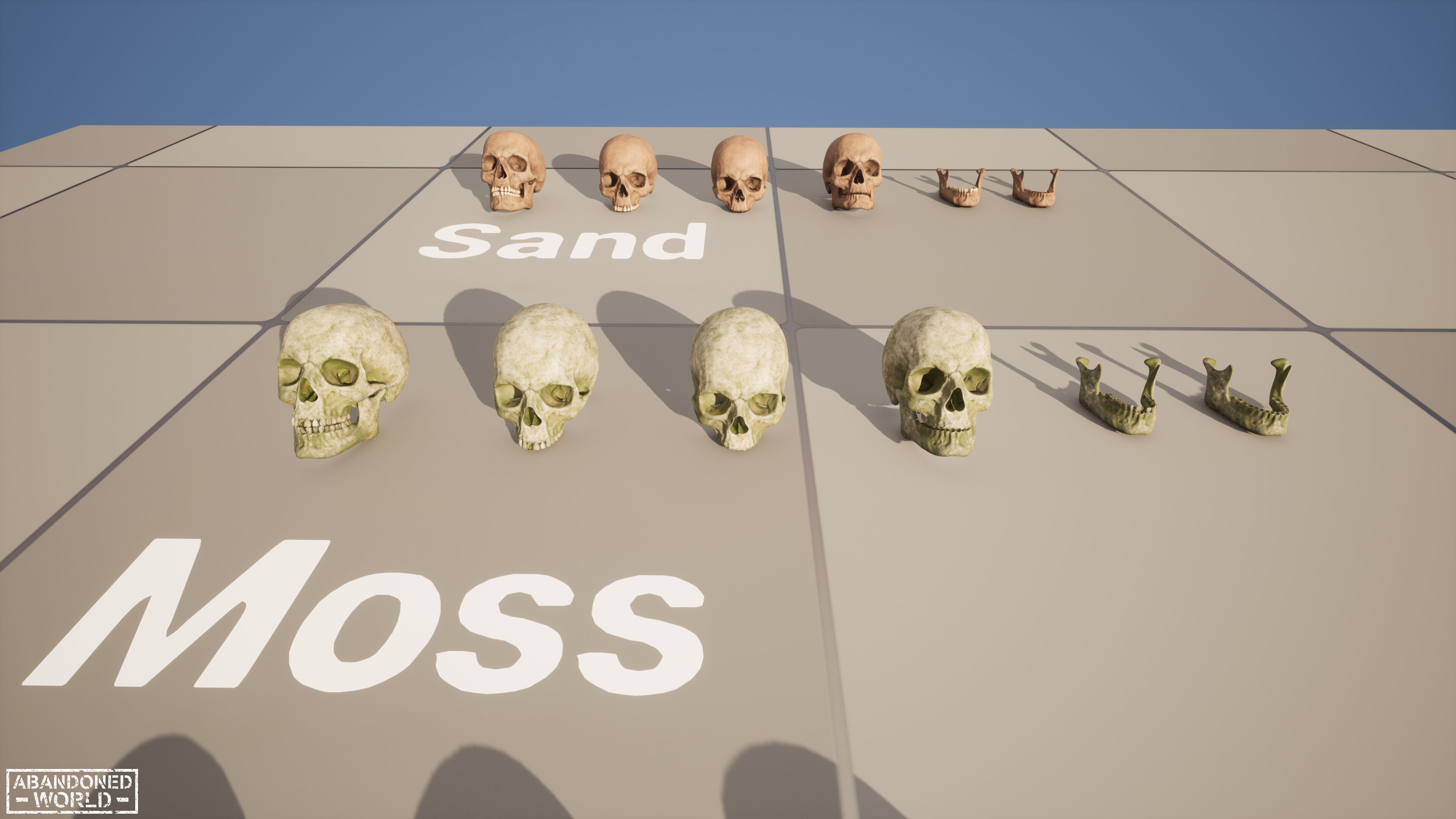 Human Skull Low-poly 3D model_19