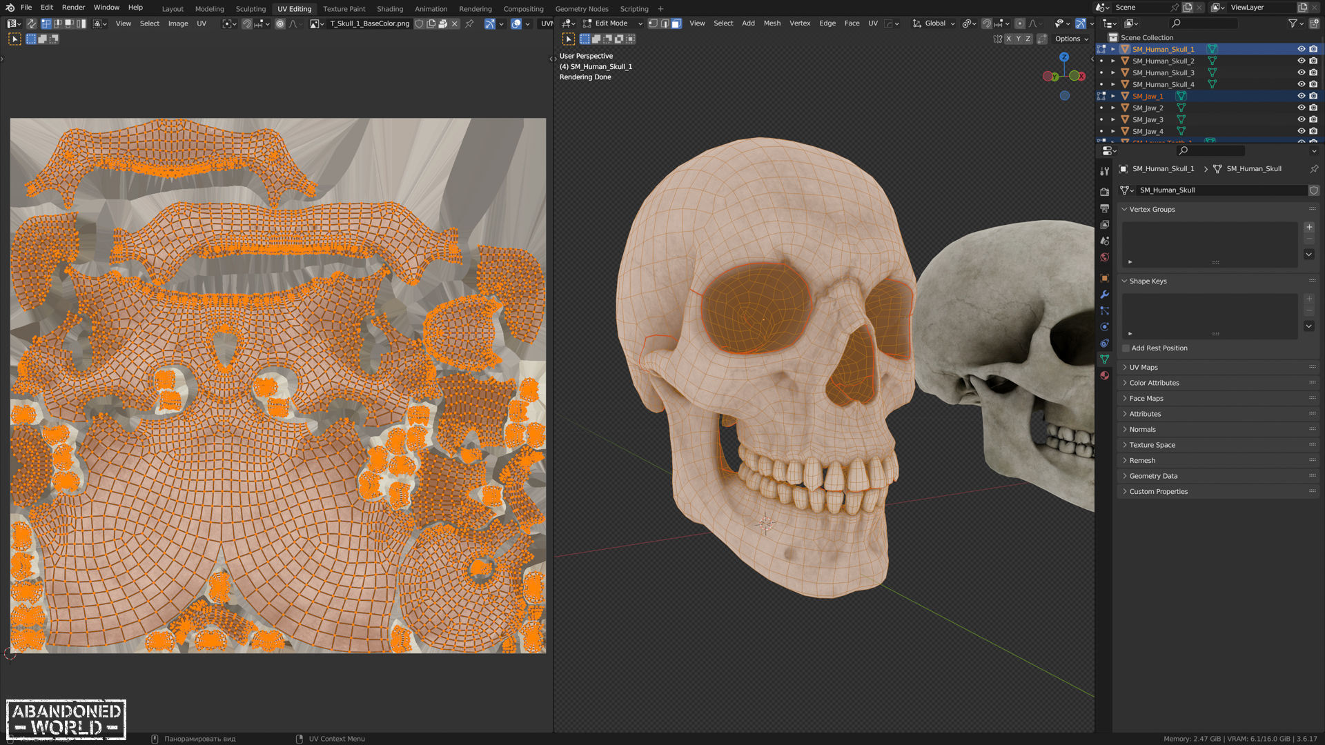 Human Skull Low-poly 3D model_14