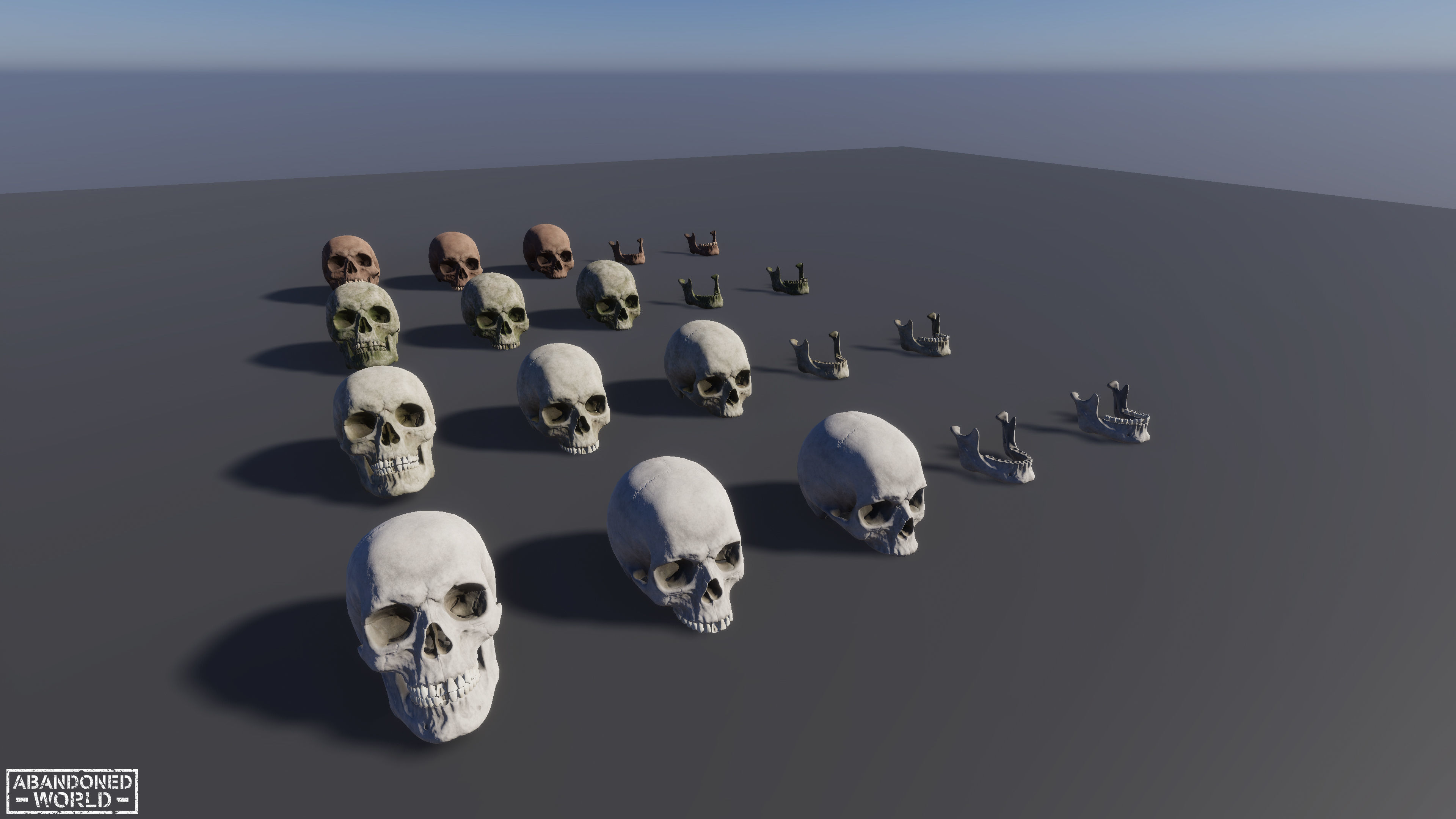 Human Skull Low-poly 3D model_15