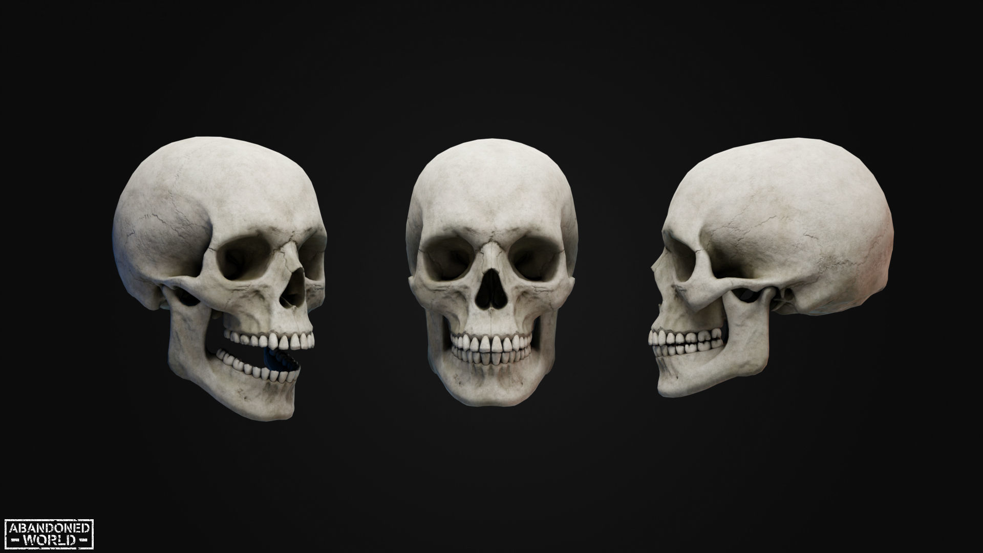 Human Skull Low-poly 3D model_2