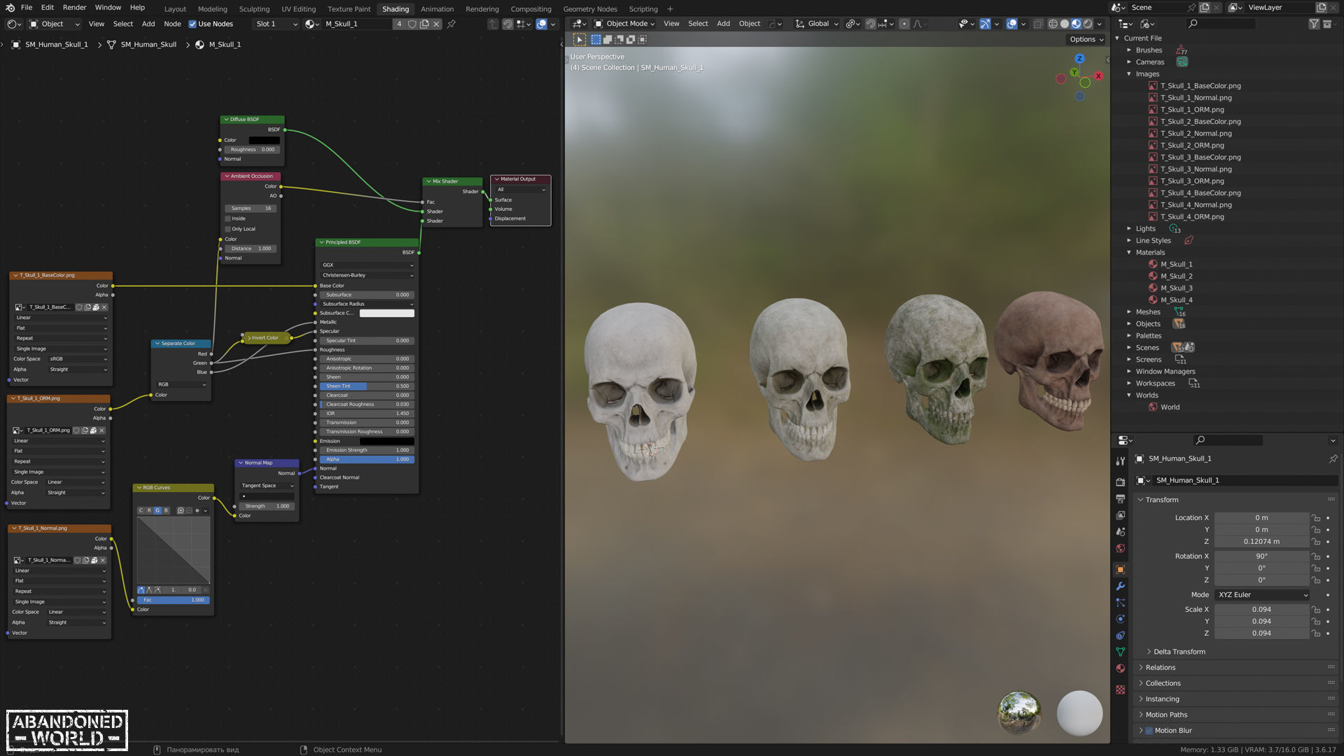 Human Skull Low-poly 3D model_13