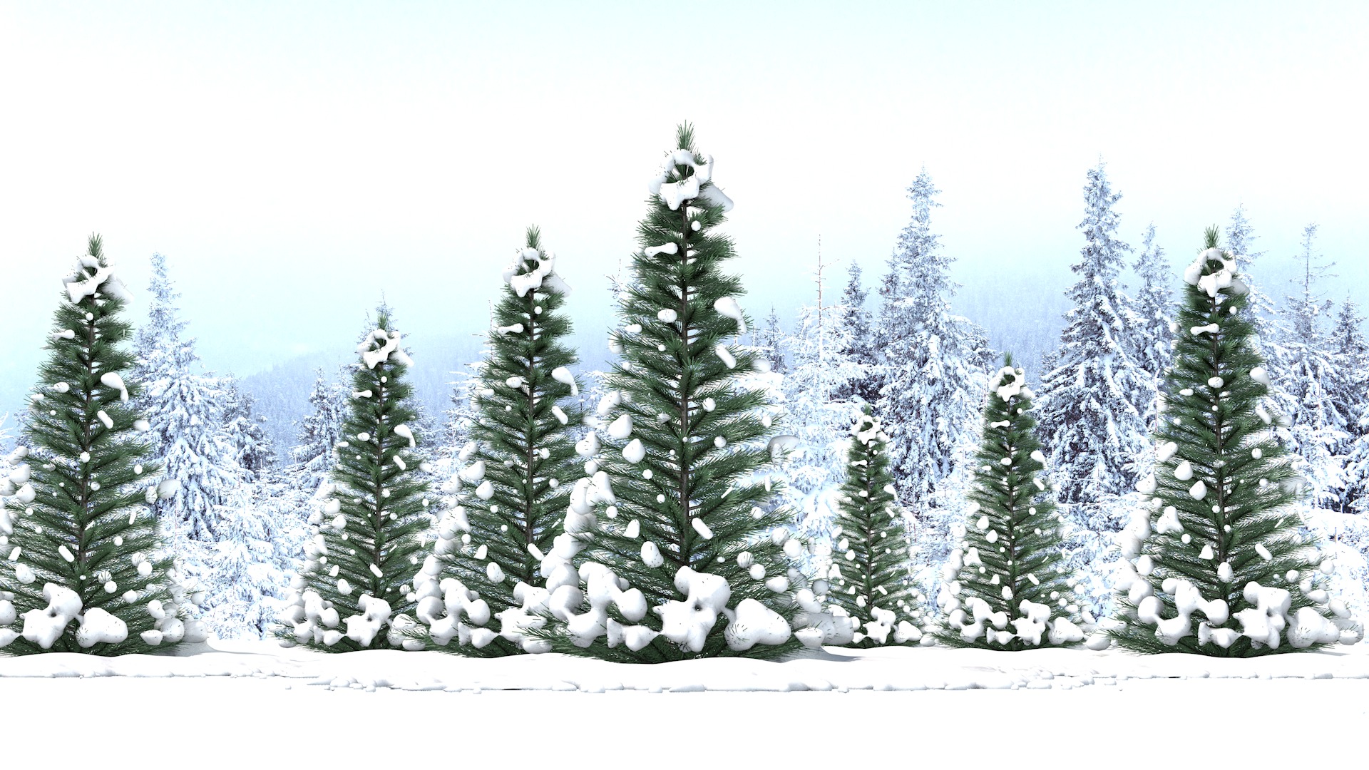 Pine Tree in The Snow 3D model_7