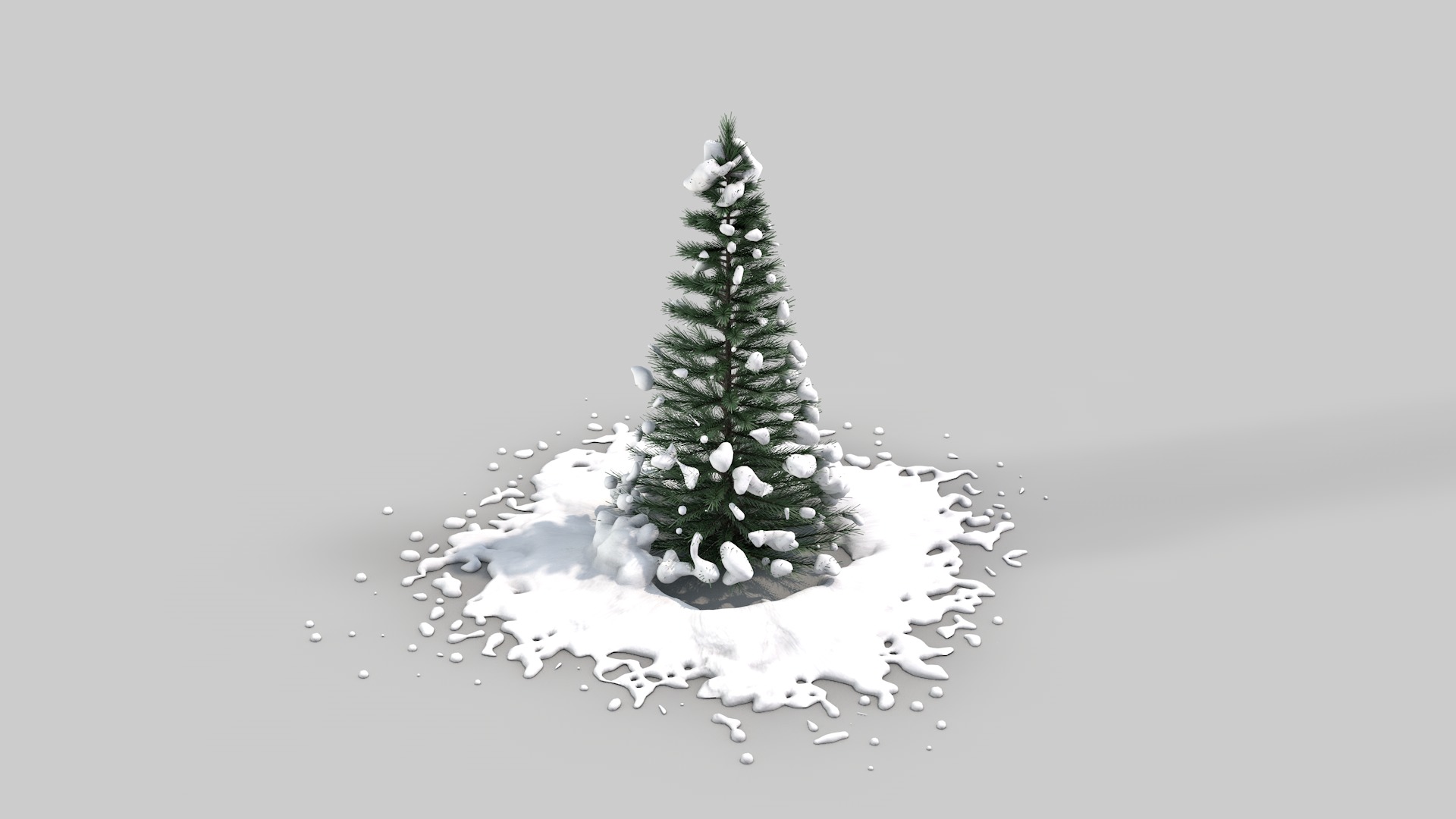 Pine Tree in The Snow 3D model_5