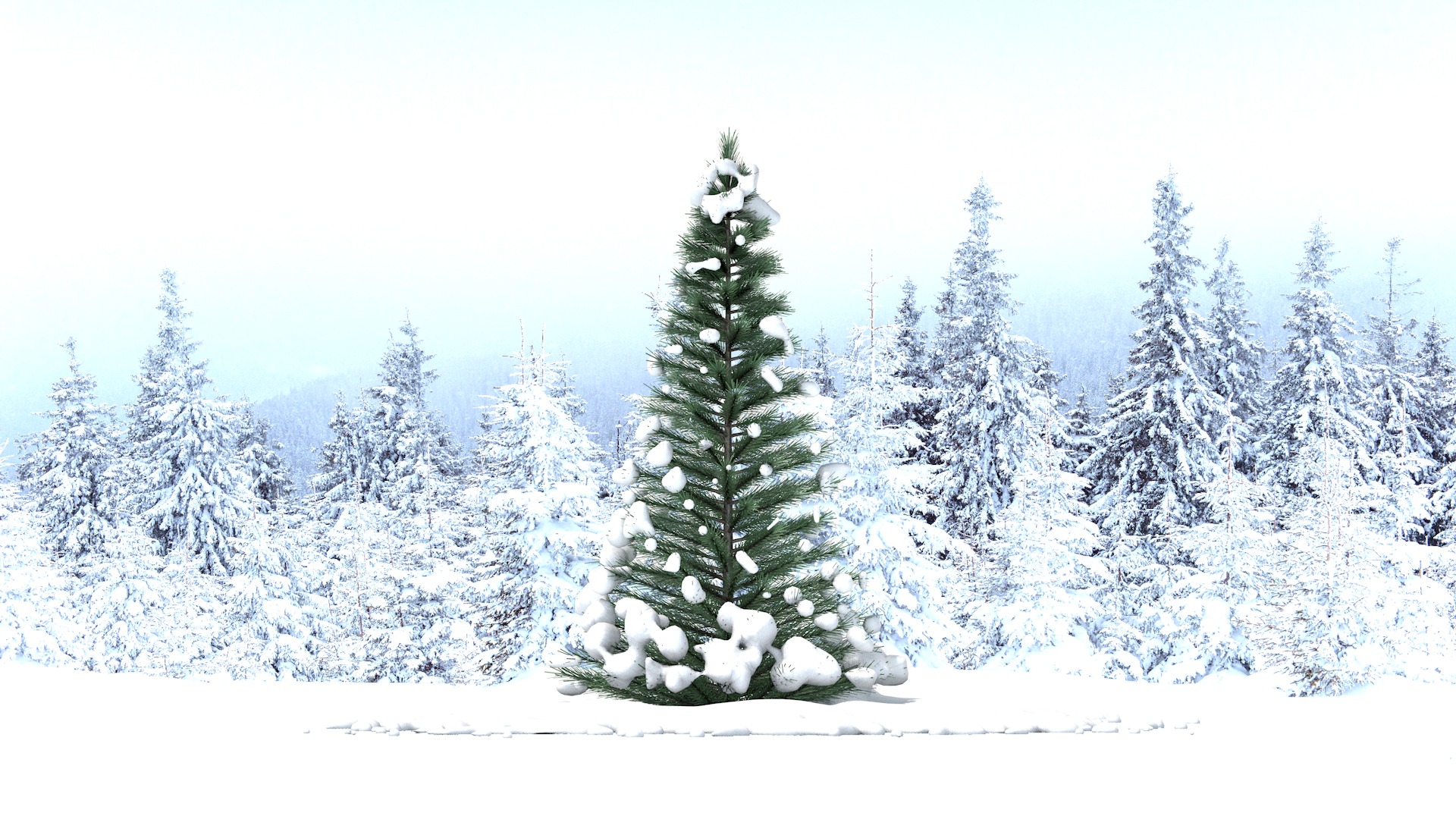 Pine Tree in The Snow 3D model_6