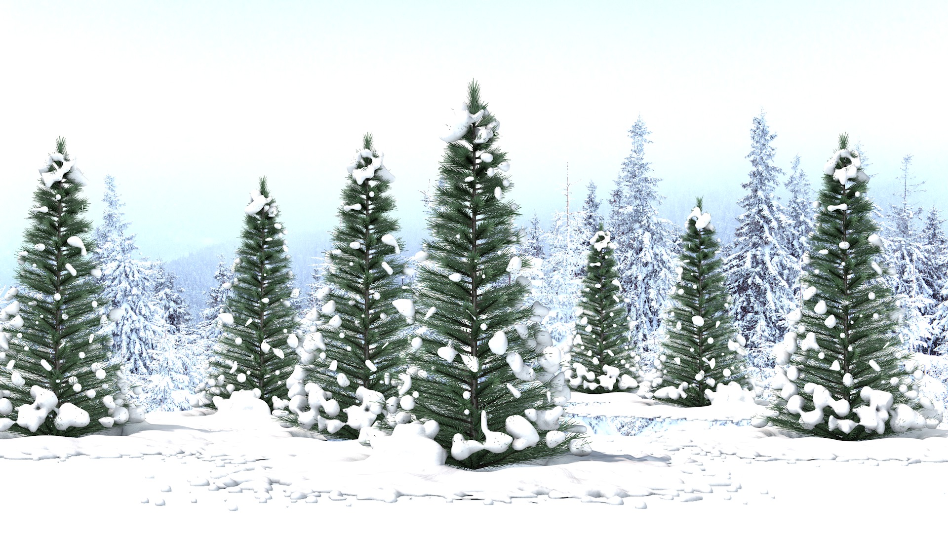 Pine Tree in The Snow 3D model_8