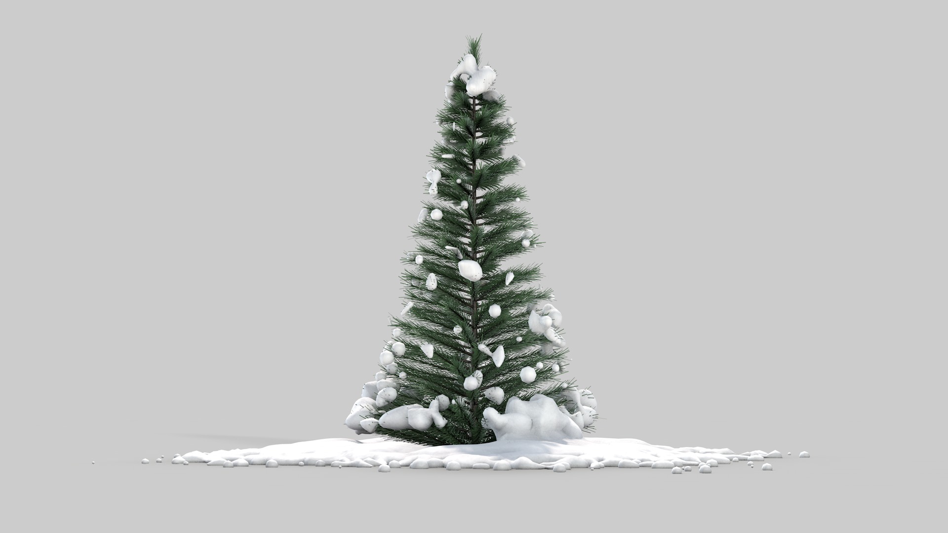 Pine Tree in The Snow 3D model_2