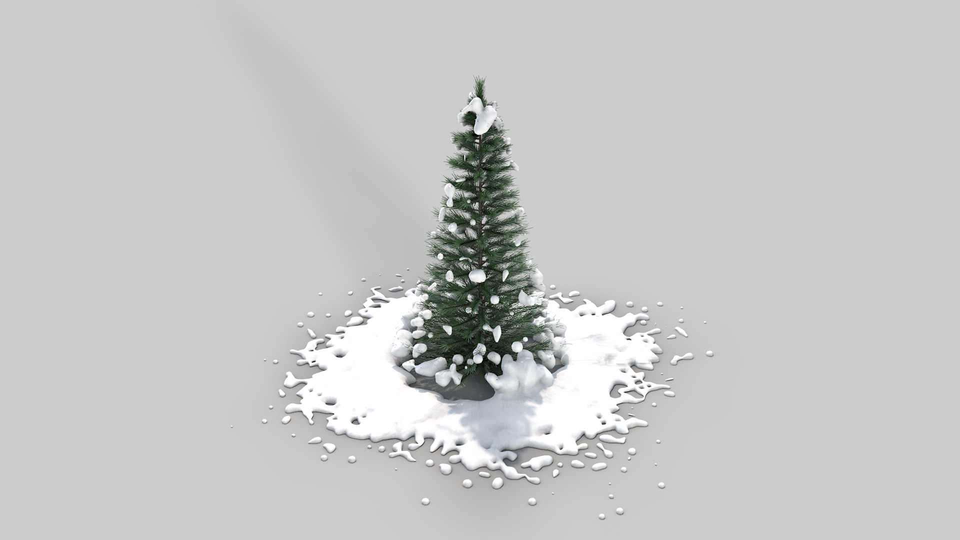 Pine Tree in The Snow 3D model_3