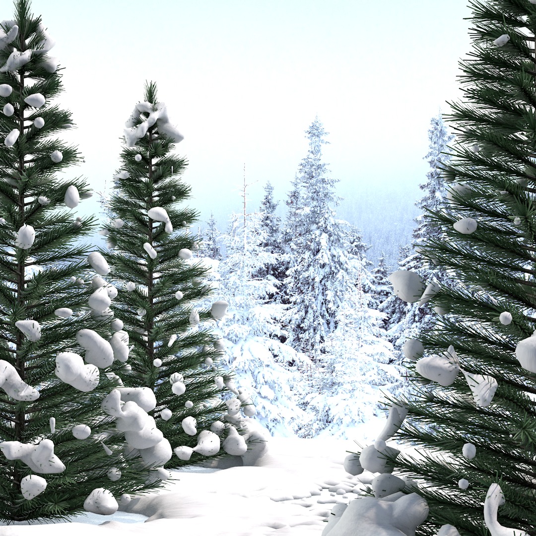 Pine Tree in The Snow 3D model_11