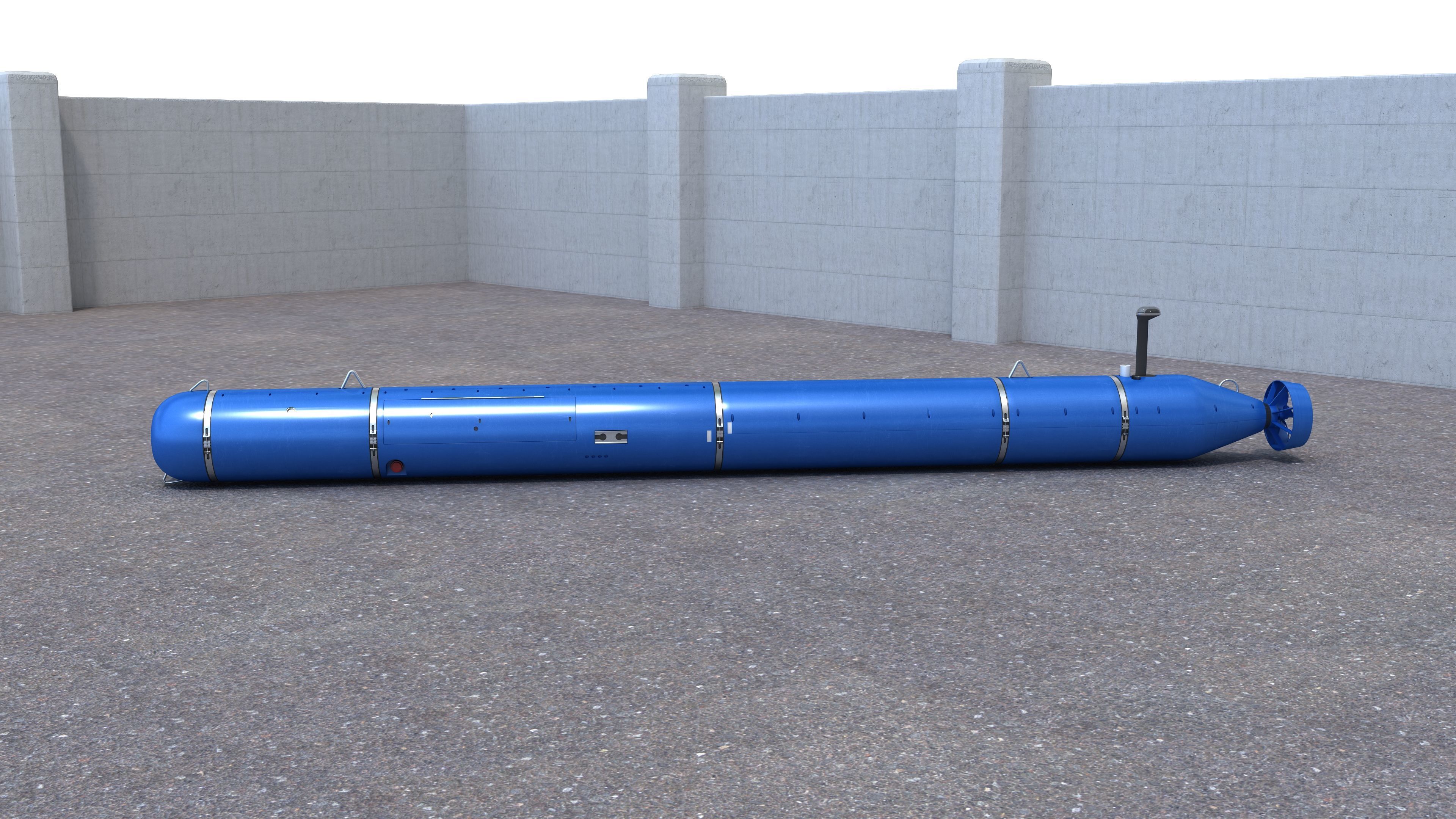 Bluefin Knifefish 3D model_5