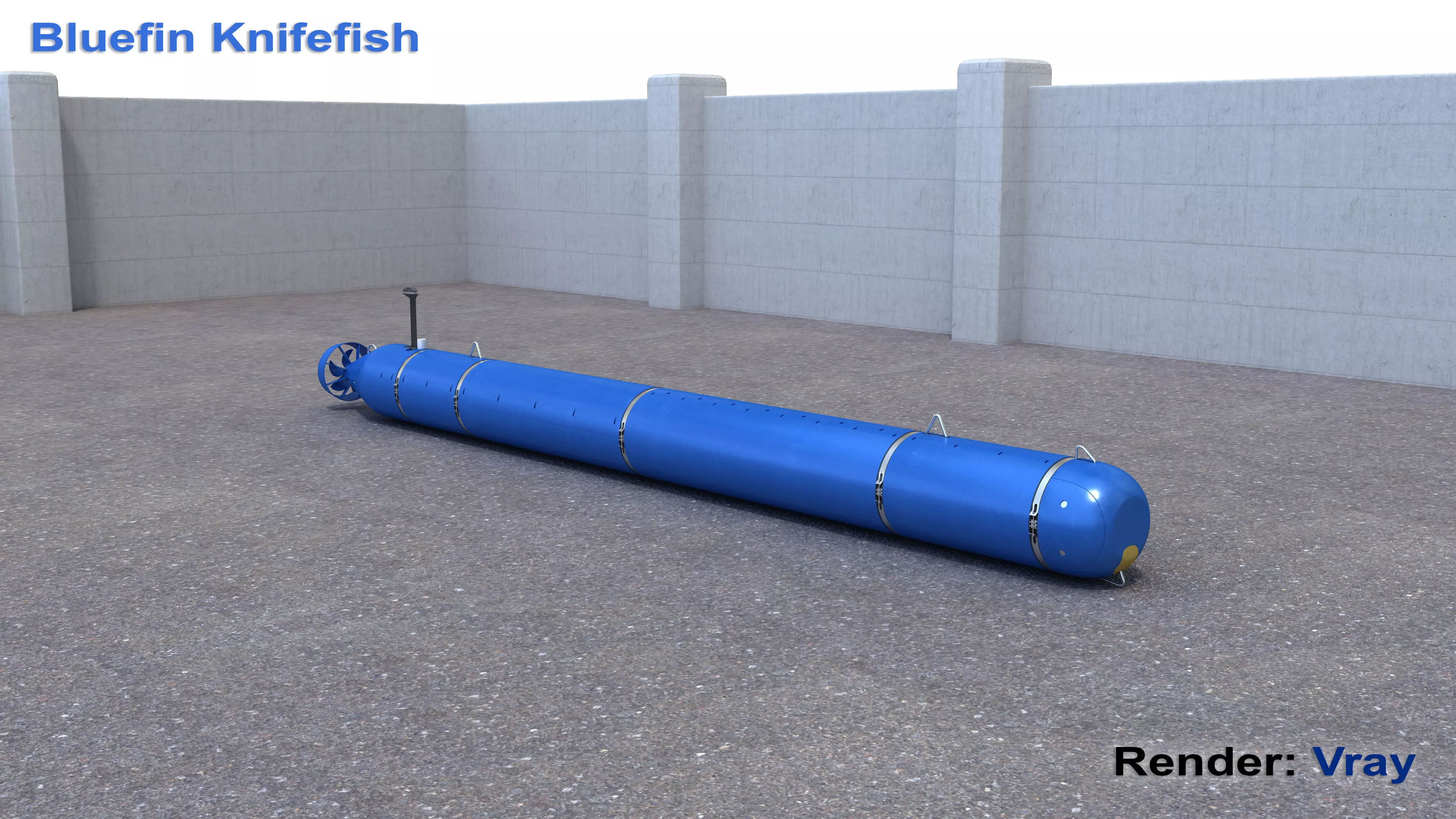 Bluefin Knifefish 3D model_0