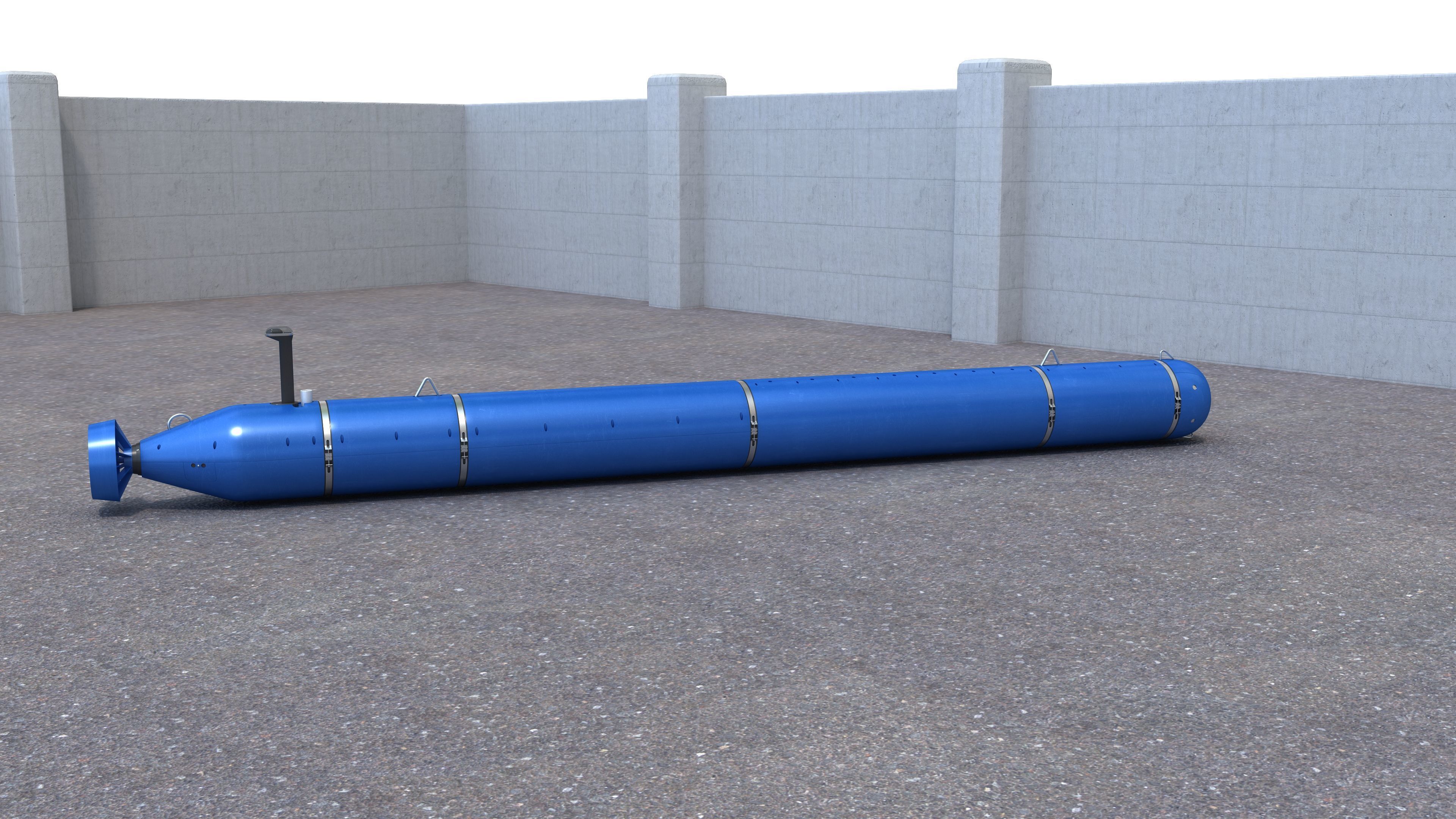 Bluefin Knifefish 3D model_1