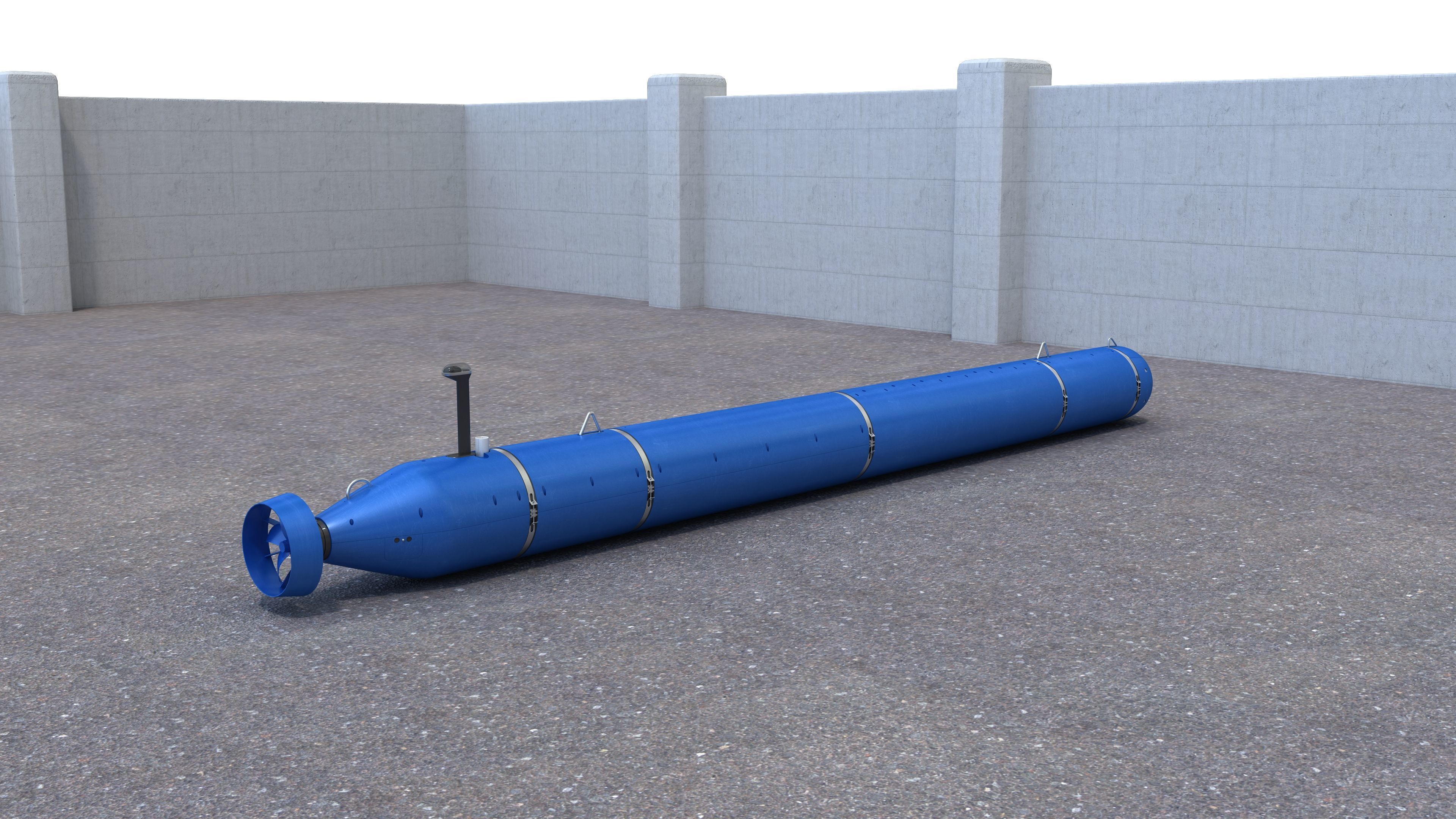 Bluefin Knifefish 3D model_4