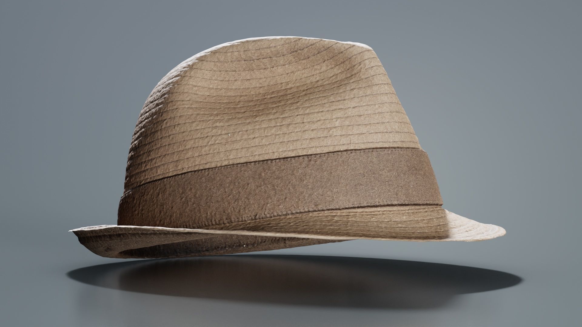 Flexy Hat Low-poly 3D model_7