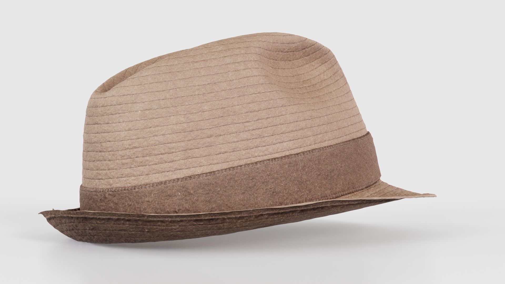 Flexy Hat Low-poly 3D model_19