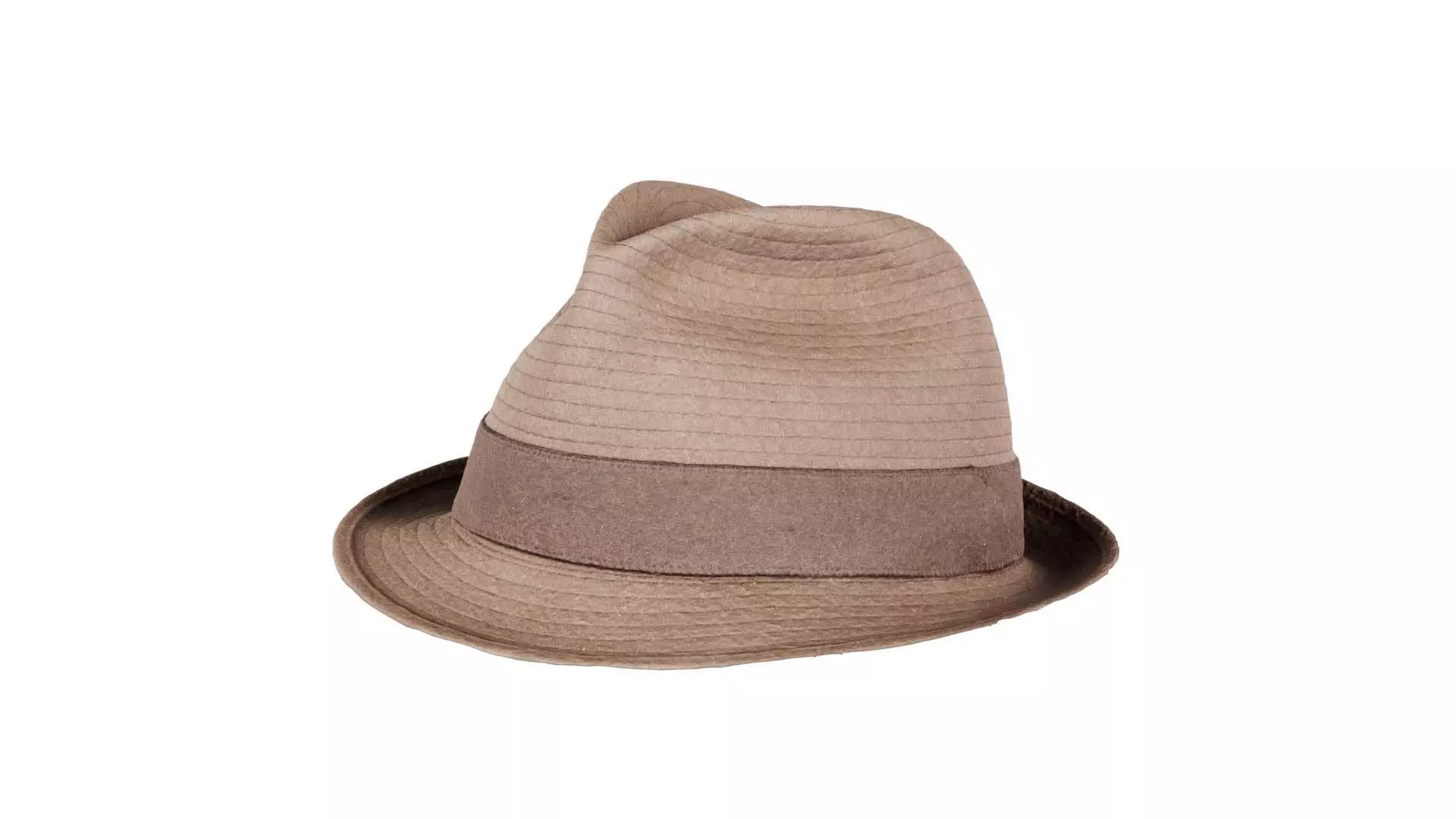 Flexy Hat Low-poly 3D model_0