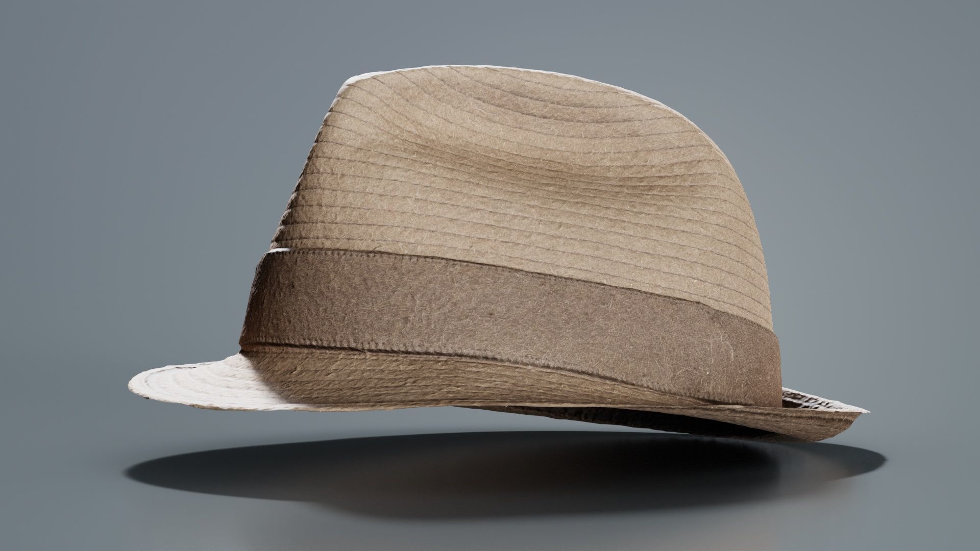 Flexy Hat Low-poly 3D model_1