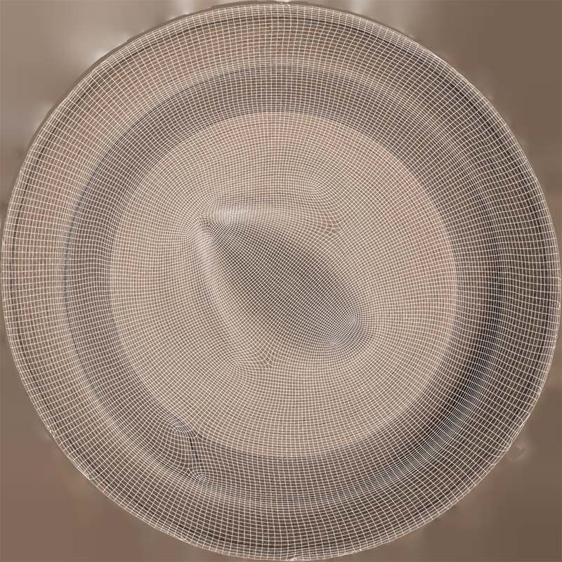 Flexy Hat Low-poly 3D model_14