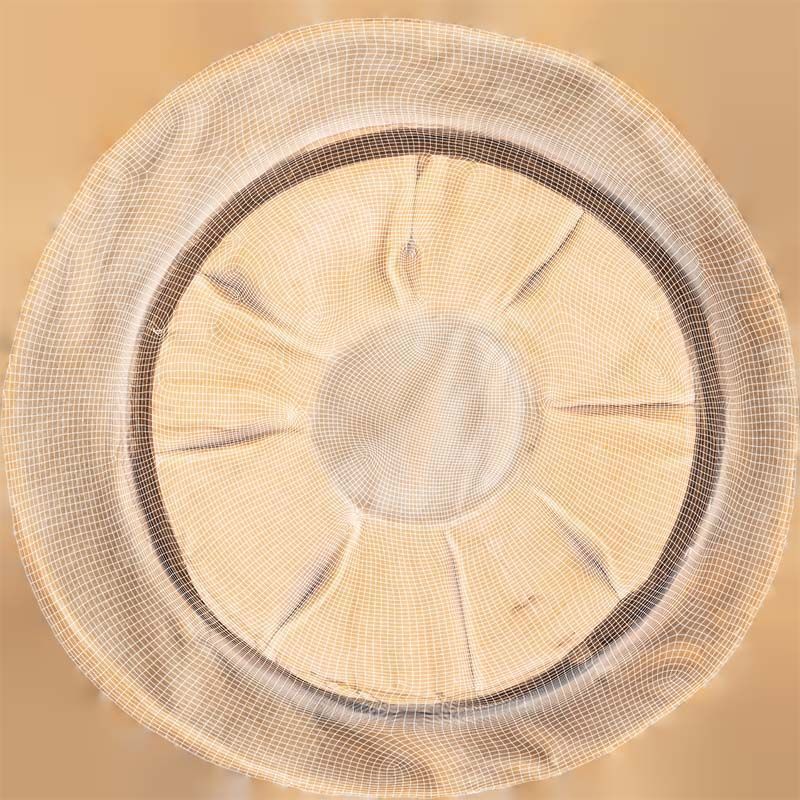 Melon Hat Low-poly 3D model_14