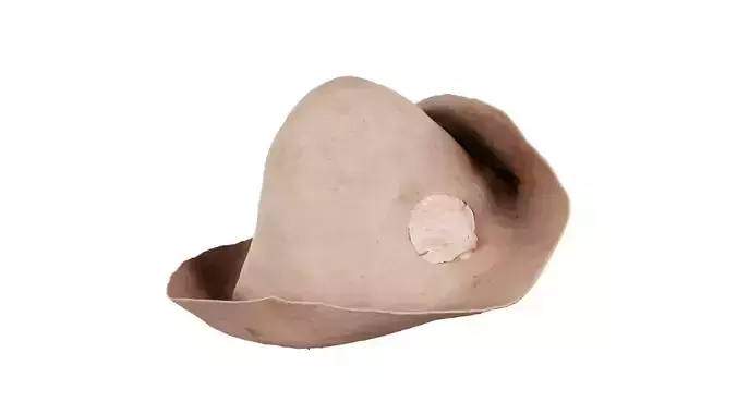 Shell Hat