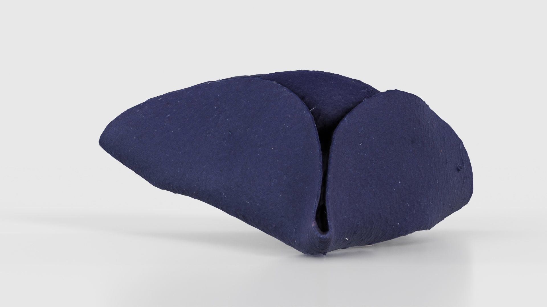 Triangle Hat Plain Low-poly 3D model_23