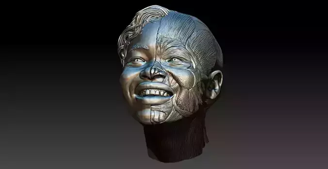 Smile anatomy - Anatomia de la sonrisa