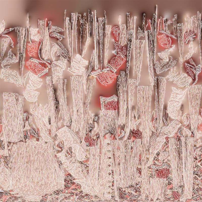 Leaf Jacket Low-poly 3D model_14