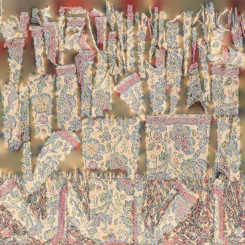 Bird Robe Low-poly 3D model_14