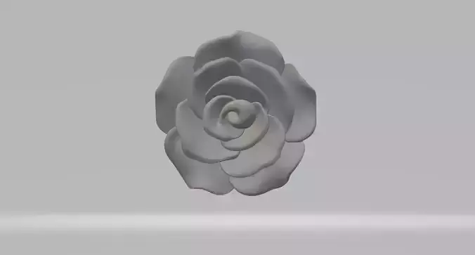 Rose Flower