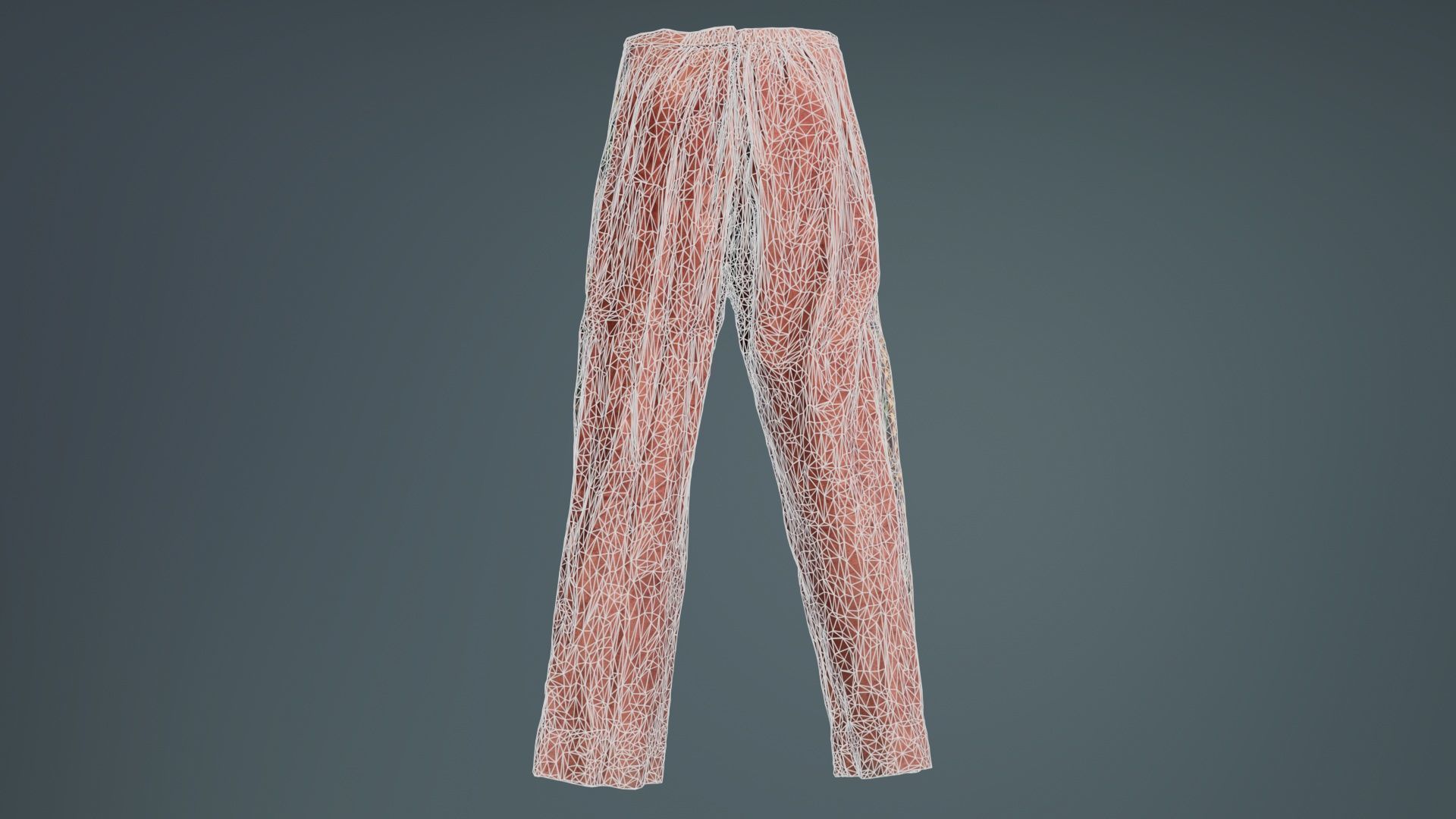 Indian Trousers Low-poly 3D model_10