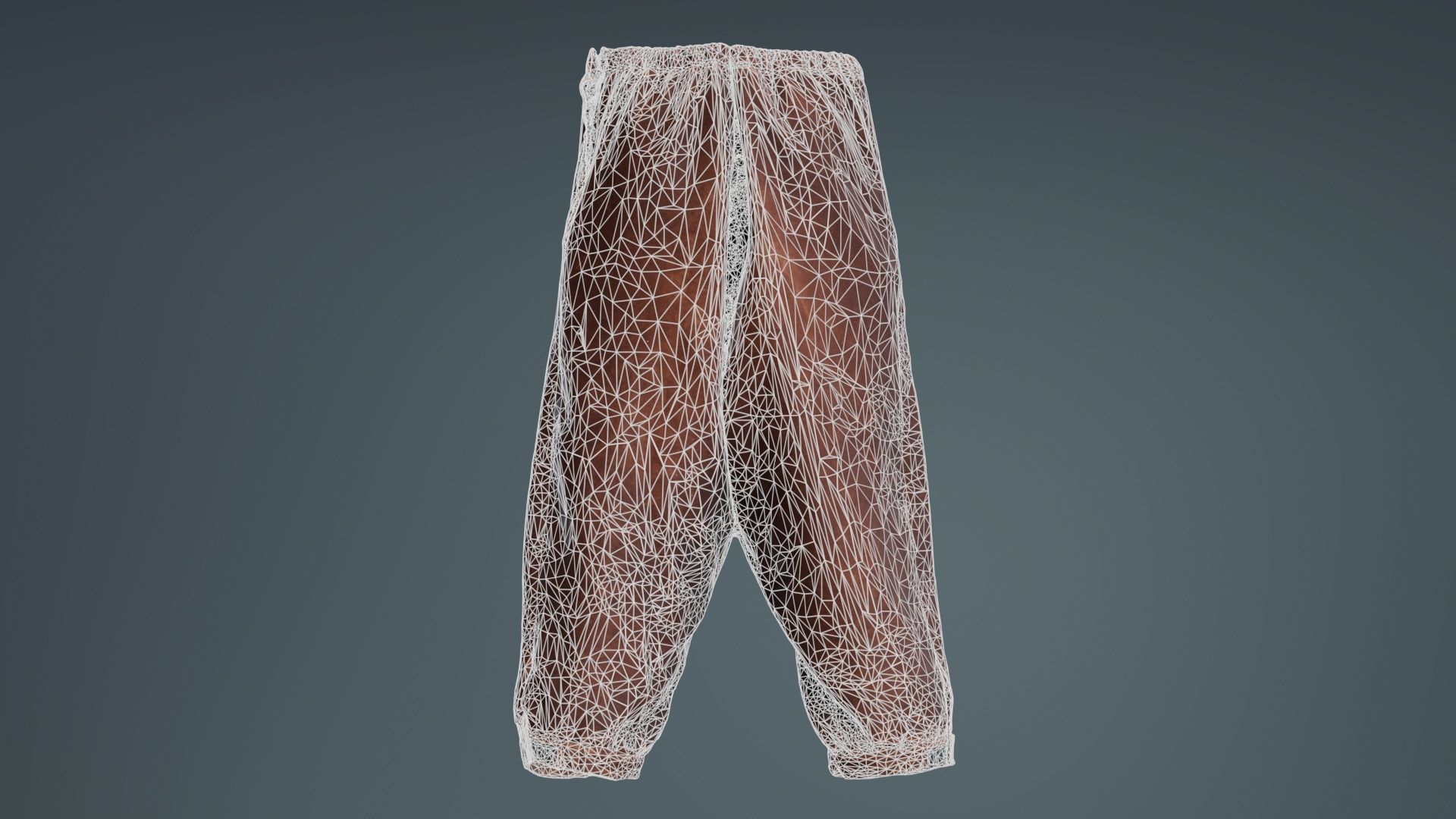 Organic Trousers Low-poly 3D model_10