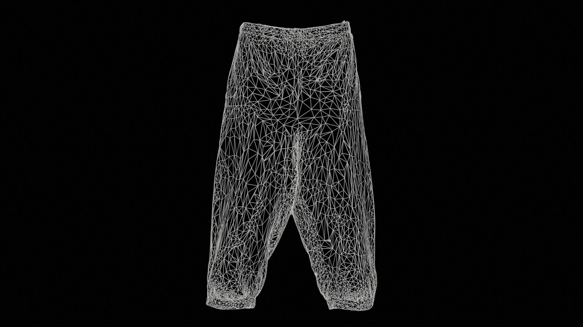 Organic Trousers Low-poly 3D model_11