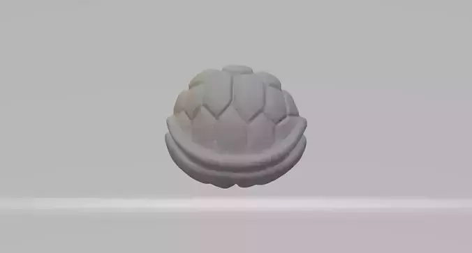 Tortoise Shell 3D print model