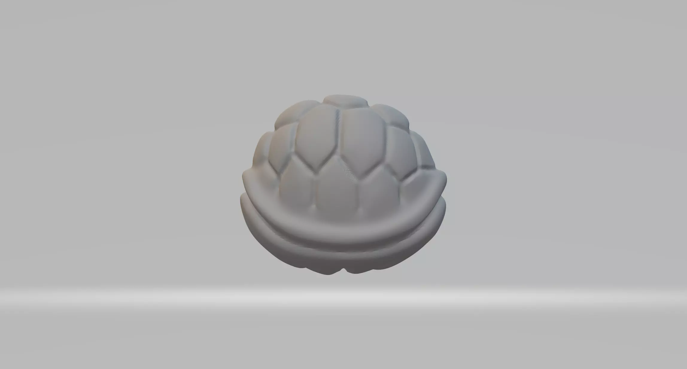 Tortoise Shell 3D print model