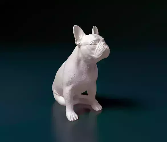 French Bulldog 014
