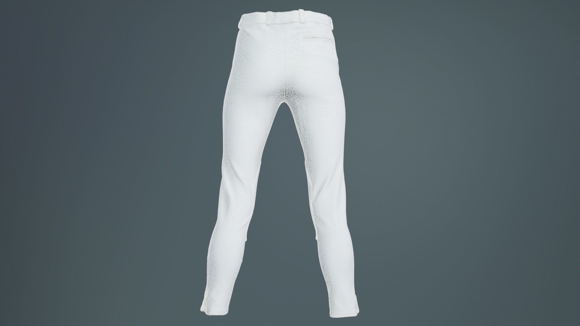 Train Trousers Low-poly 3D model_10