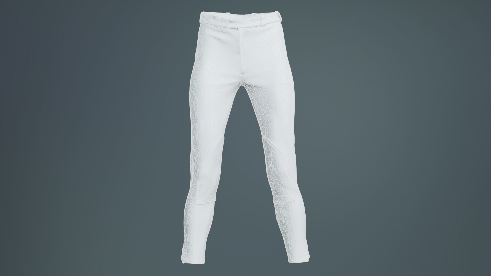 Train Trousers Low-poly 3D model_9